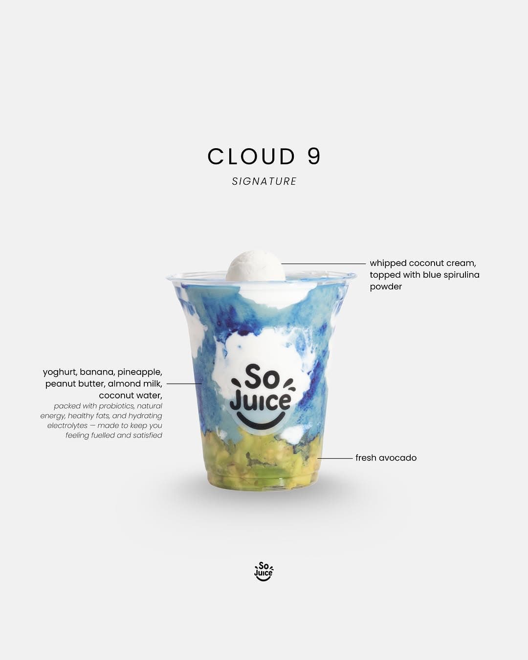 Cloud 9 SoJuice signature smoothie